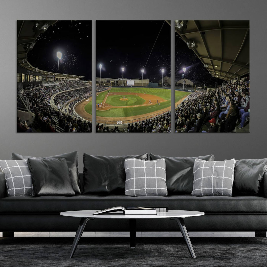 Olsen Field at Blue Bell Park - Texas A&M Aggies Baseball Stadium Wall Art Canvas Print