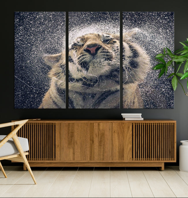 Tiger and Rain Canvas Print