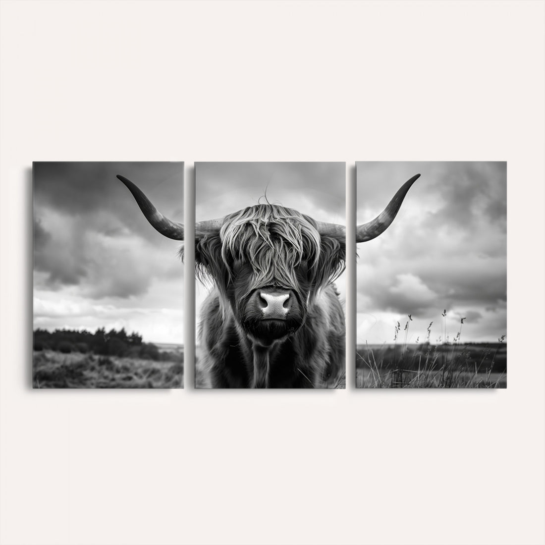 Scottish Cow Wall Art Canvas Print, Longhorn Wall Art