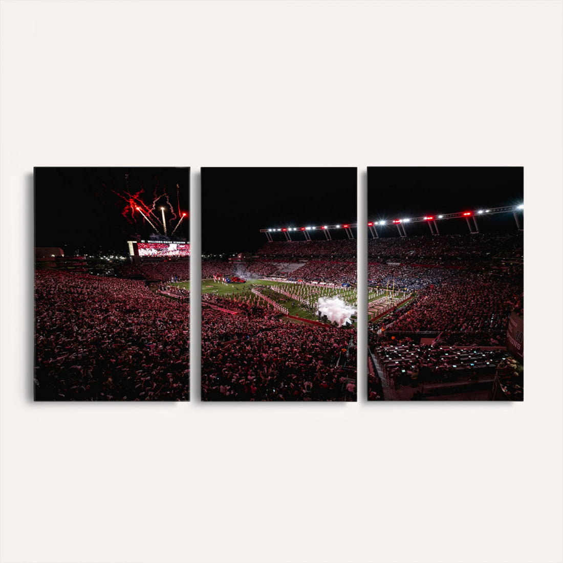 William Brice Stadium Wall Art Print, Baseball Game Room