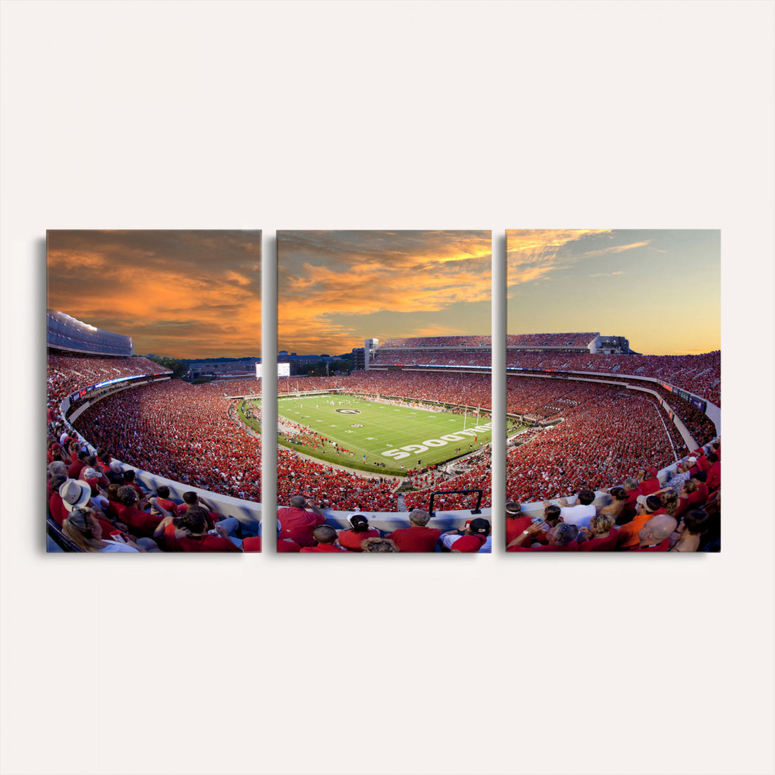Dooley Stadium Wall Art, Sports Arena Canvas Print, Dooley Field, Framed and Ready to Hang