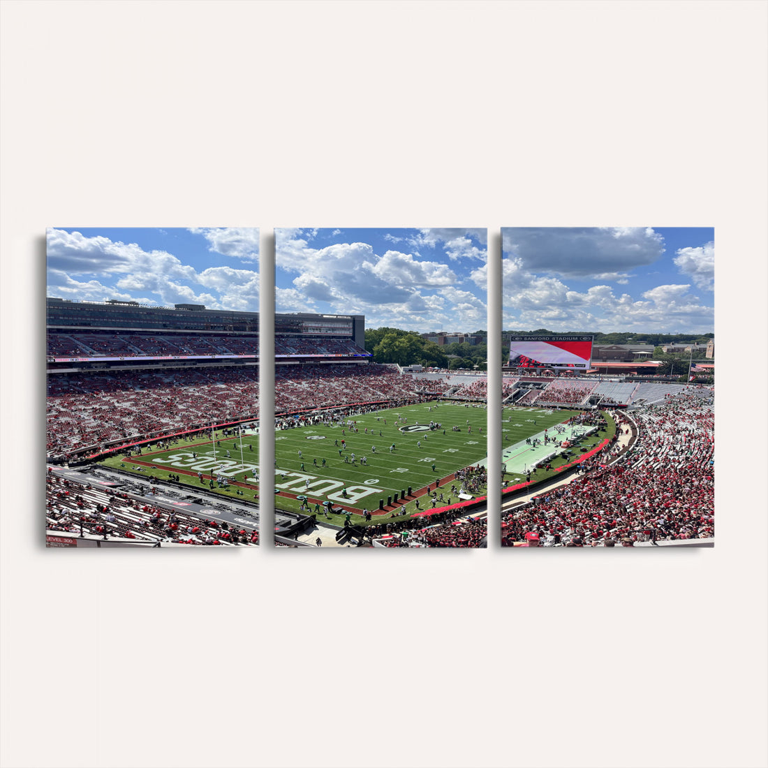 Georgia Bulldogs Stadium Wall Art Canvas Print, Sanford, Framed and Ready to Hang
