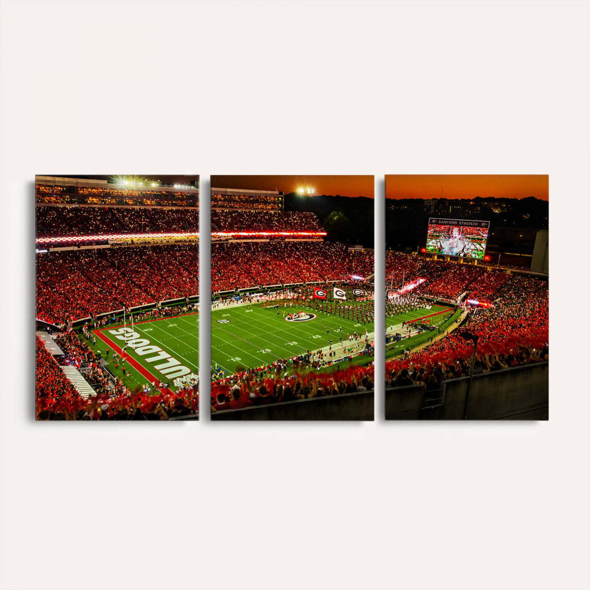 48894104-MGV-CV-36X24 - Georgia Bulldogs Stadium Wall Art Canvas Print, Sanford Stadium