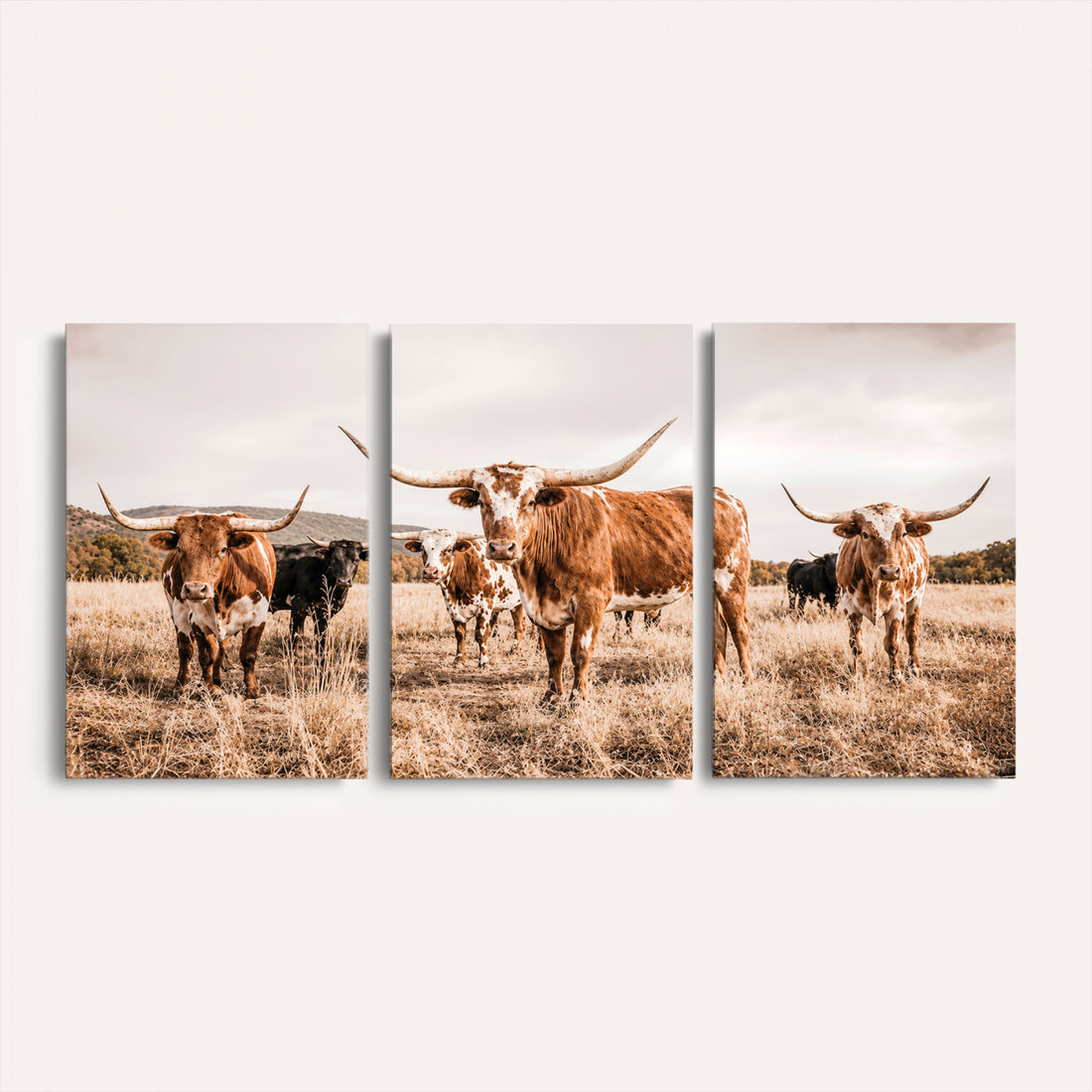 Texas Longhorn Cattle Wall Art Canvas Print, Sepia Western Decor