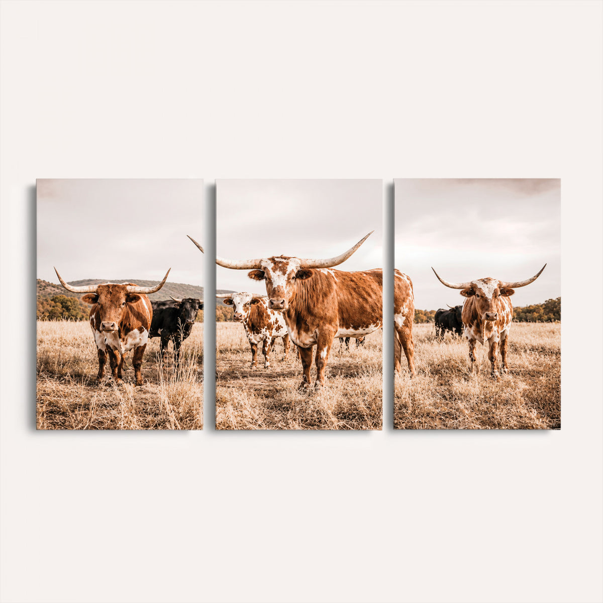 27539727-MGV-CV-36X24 - Texas Longhorn Cattle Wall Art Canvas Print, Sepia Western Decor