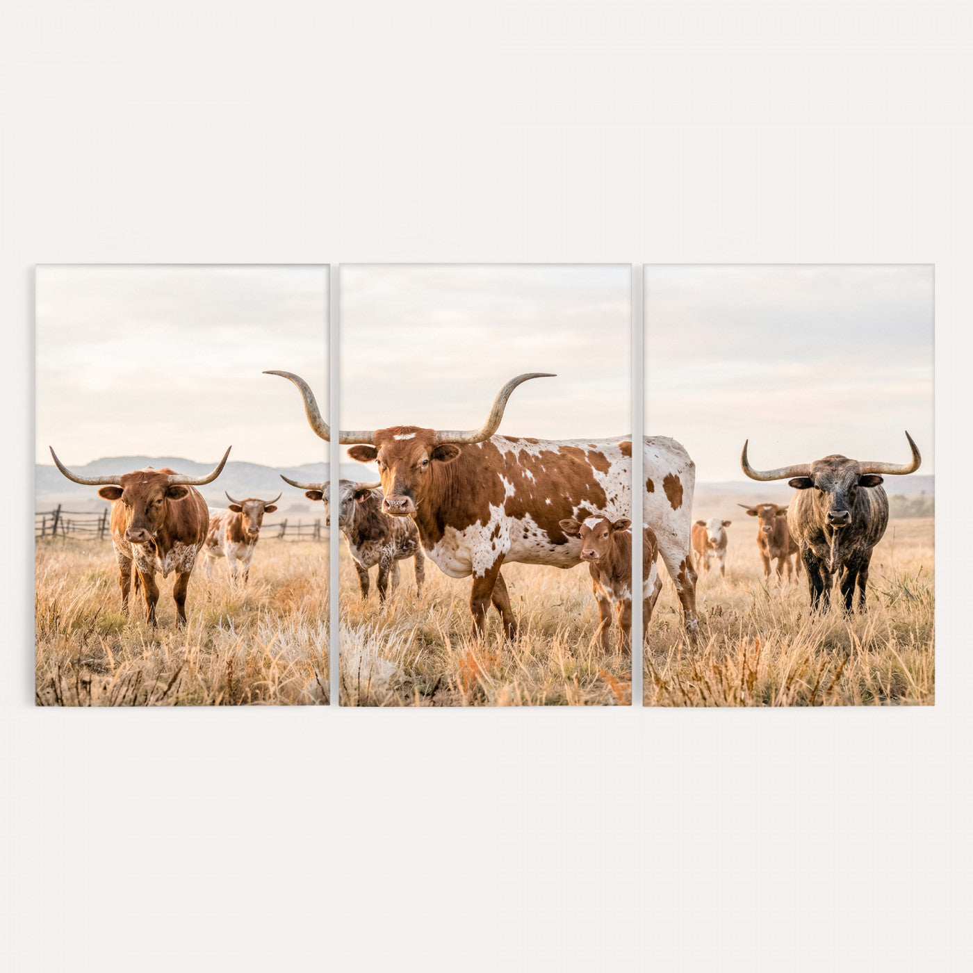 62336425AC-MGV-CV-36X24 - Texas Longhorn Canvas Wall Art, Rustic Farm Animal Photography Print, Farmhouse Country Decor, Western Ranch Art