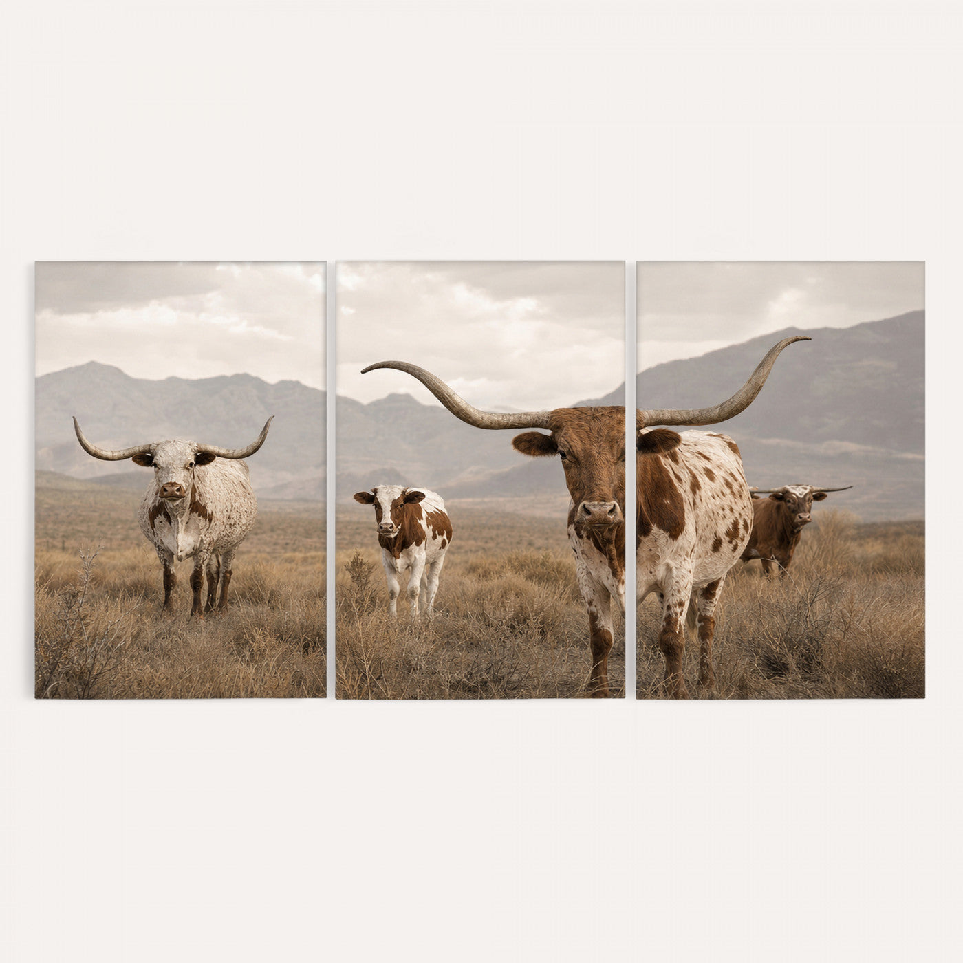 62336425AD-MGV-CV-36X24 - Rustic Texas Longhorn Cow Canvas Wall Art Print, Rustic Farm Animal Photography Print, Farmhouse Country Decor, Western Ranch Art