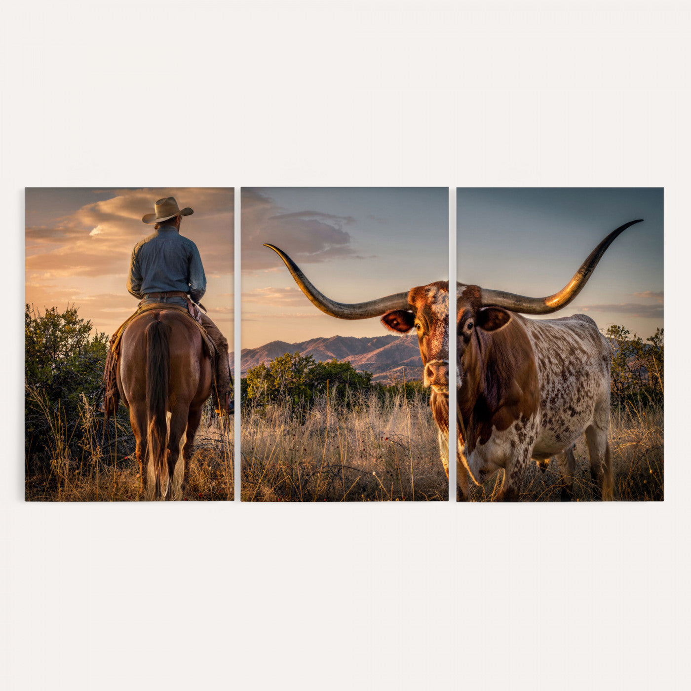 62076449-MGV-CV-60X30-3P - Texas Cow Bull Longhorn Cowboy Western Wall Art Decor for Farmhouse