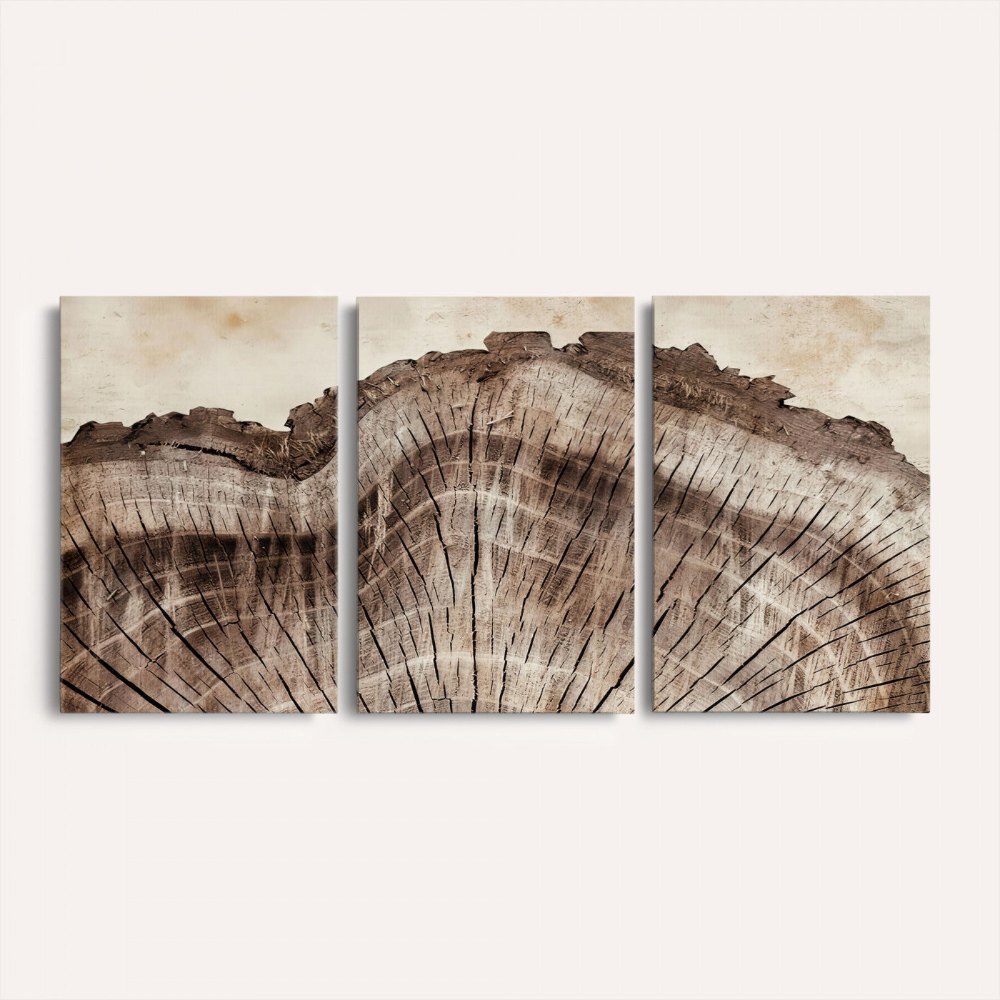 91280382-MGV-CV-60X30-3P - Tree Ring Canvas Wall Art in Neutral Earth Tones, Framed Wood Slice Print for Rustic and Japandi Interiors