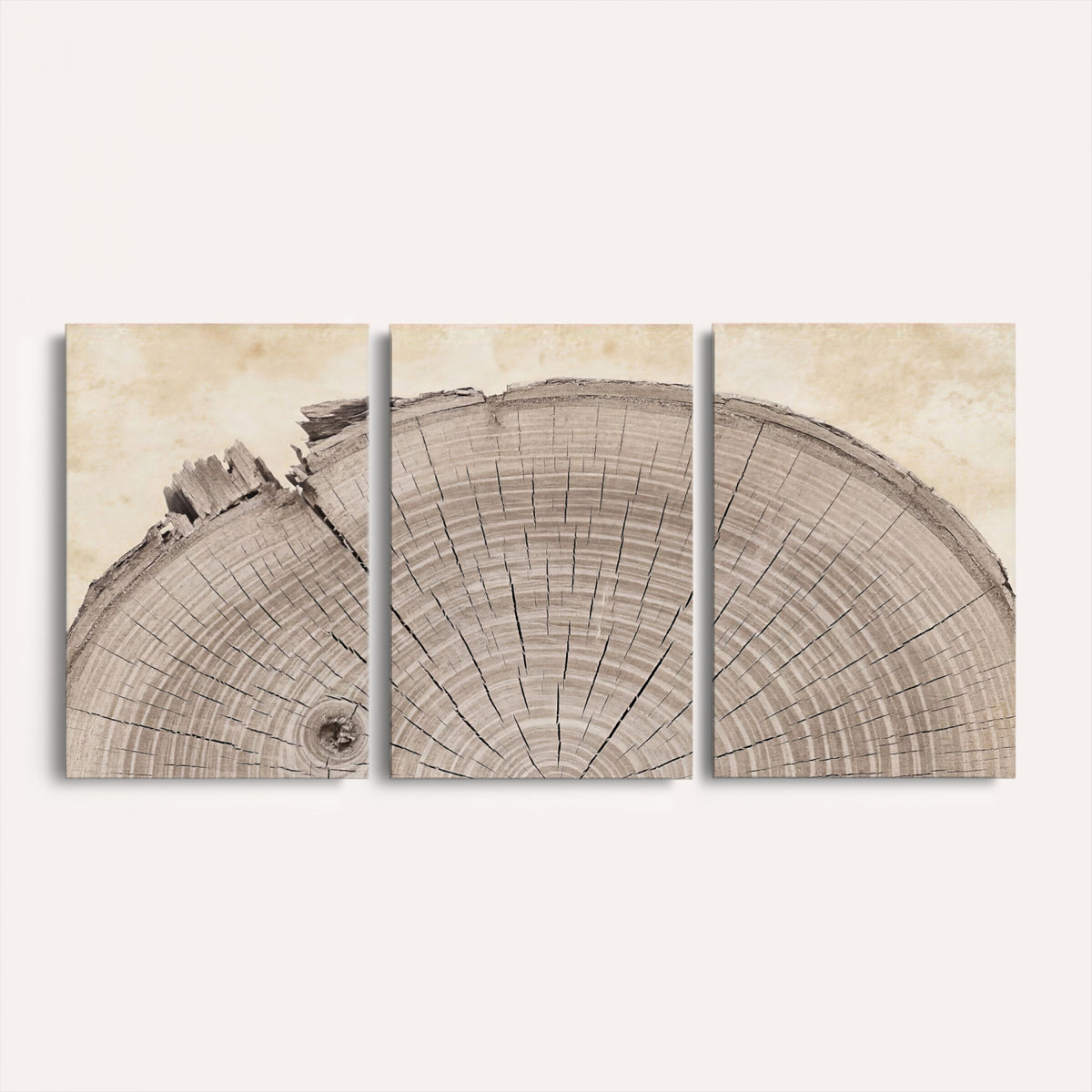 64174838-MGV-CV-60X30-3P - Tree Ring Canvas Wall Art in Neutral Earth Tones, Framed Wood Slice Print for Rustic and Japandi Interiors
