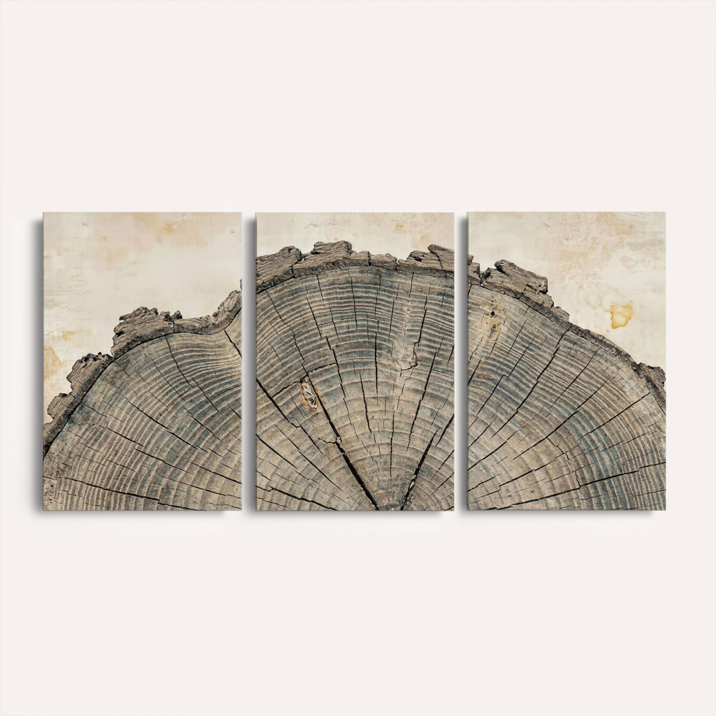34201080-MGV-CV-60X30-3P - Tree Ring Canvas Wall Art in Neutral Earth Tones, Framed Wood Slice Print for Rustic and Japandi Interiors