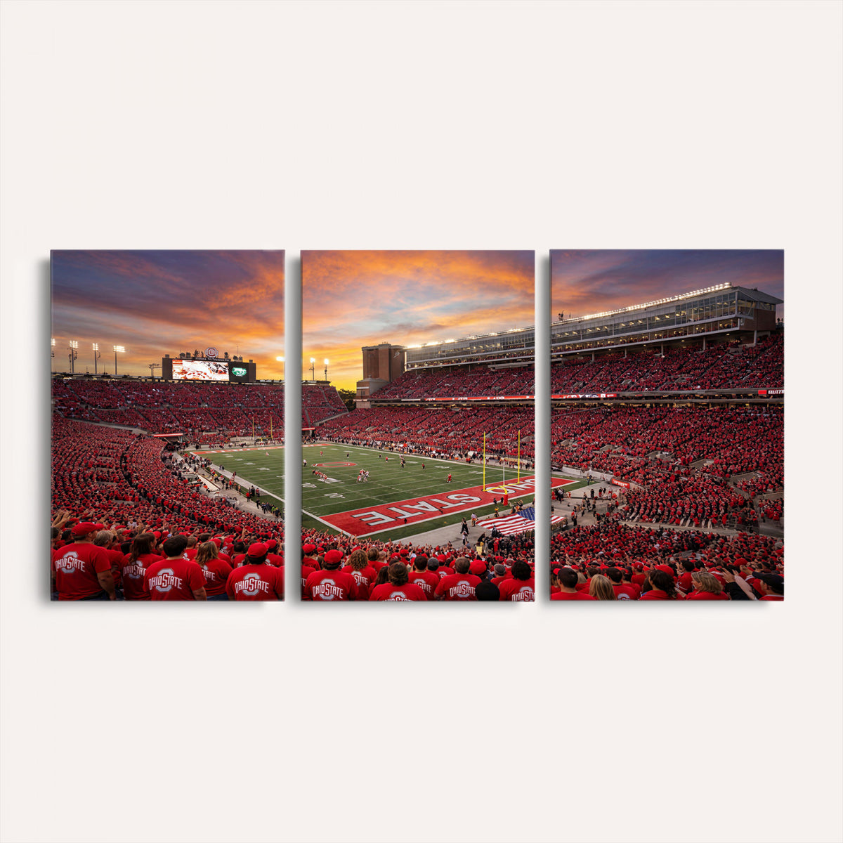 73119077-MGV-CV-36X24 - Stadium Wall Art Canvas Print