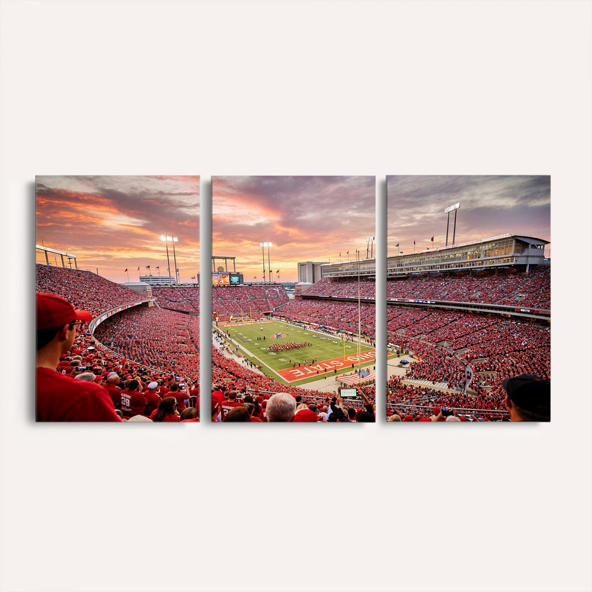 94754966-MGV-CV-36X24 - Stadium Wall Art Canvas Print
