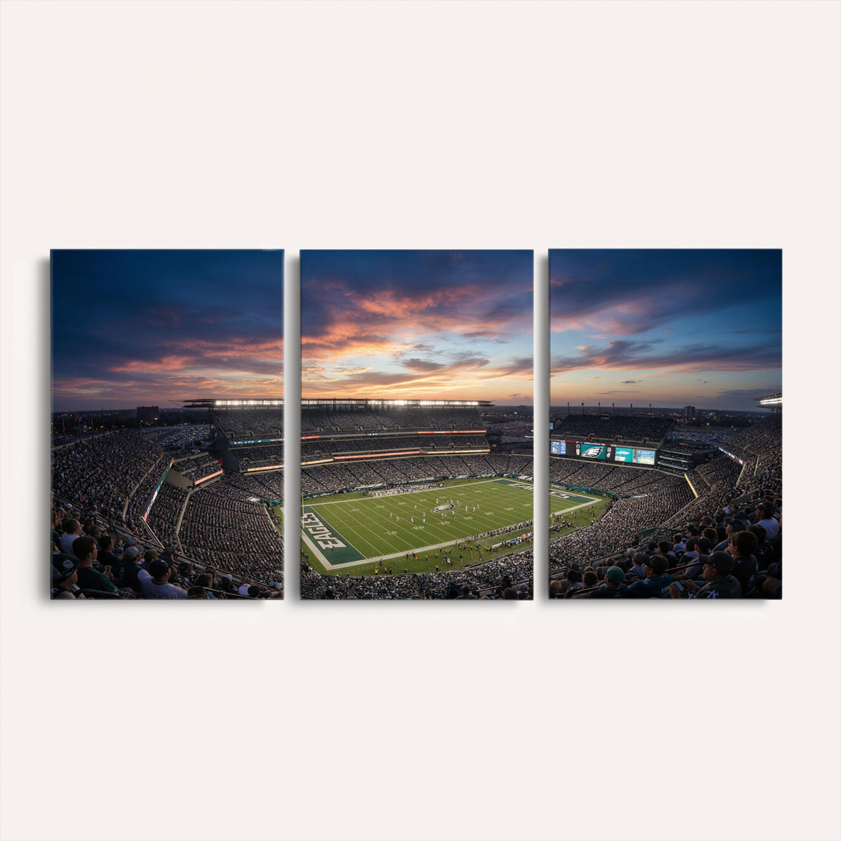 59208973-MGV-CV-36X24 - Stadium Wall Art Canvas Print