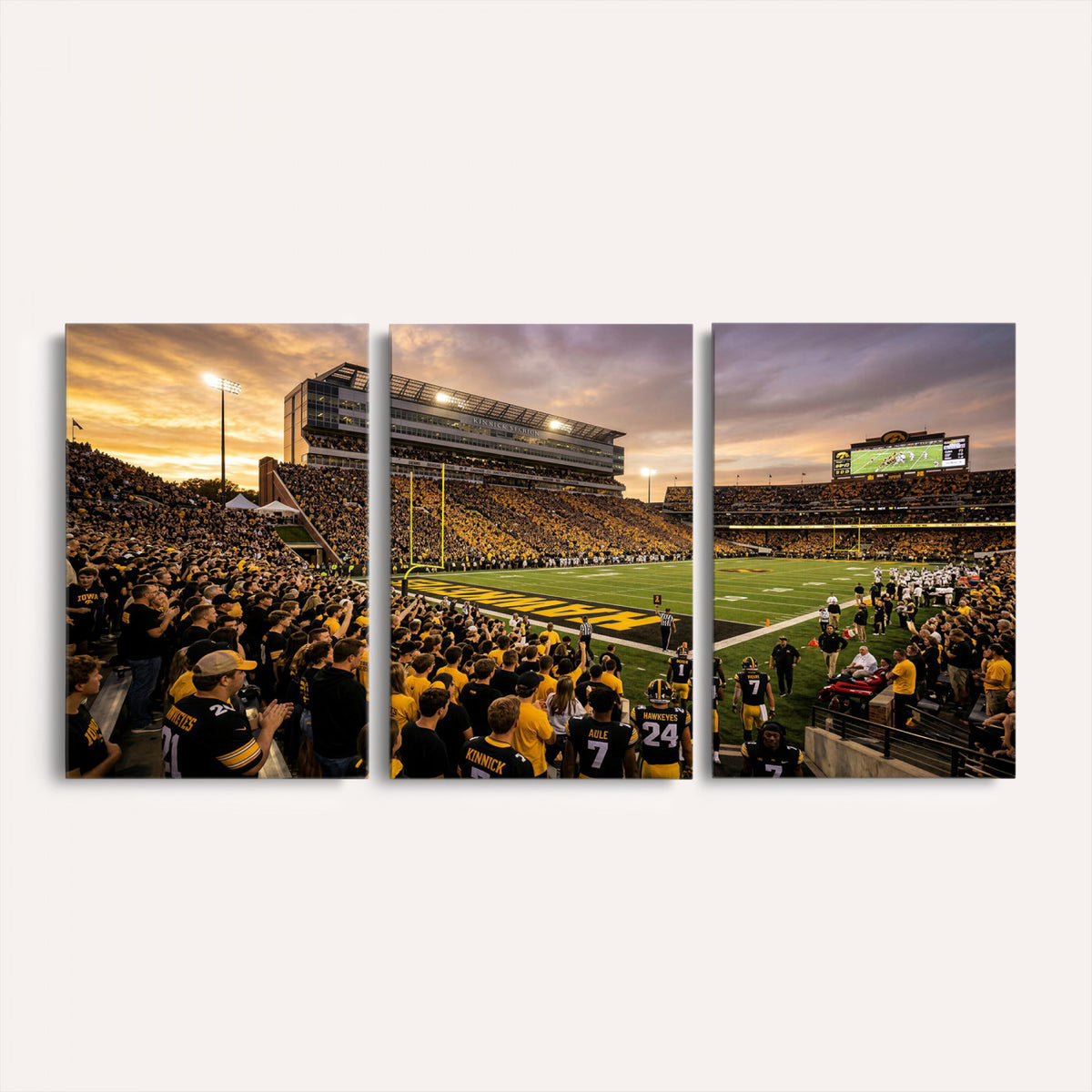 60847729-MGV-CV-36X24 - Stadium Wall Art Canvas Print
