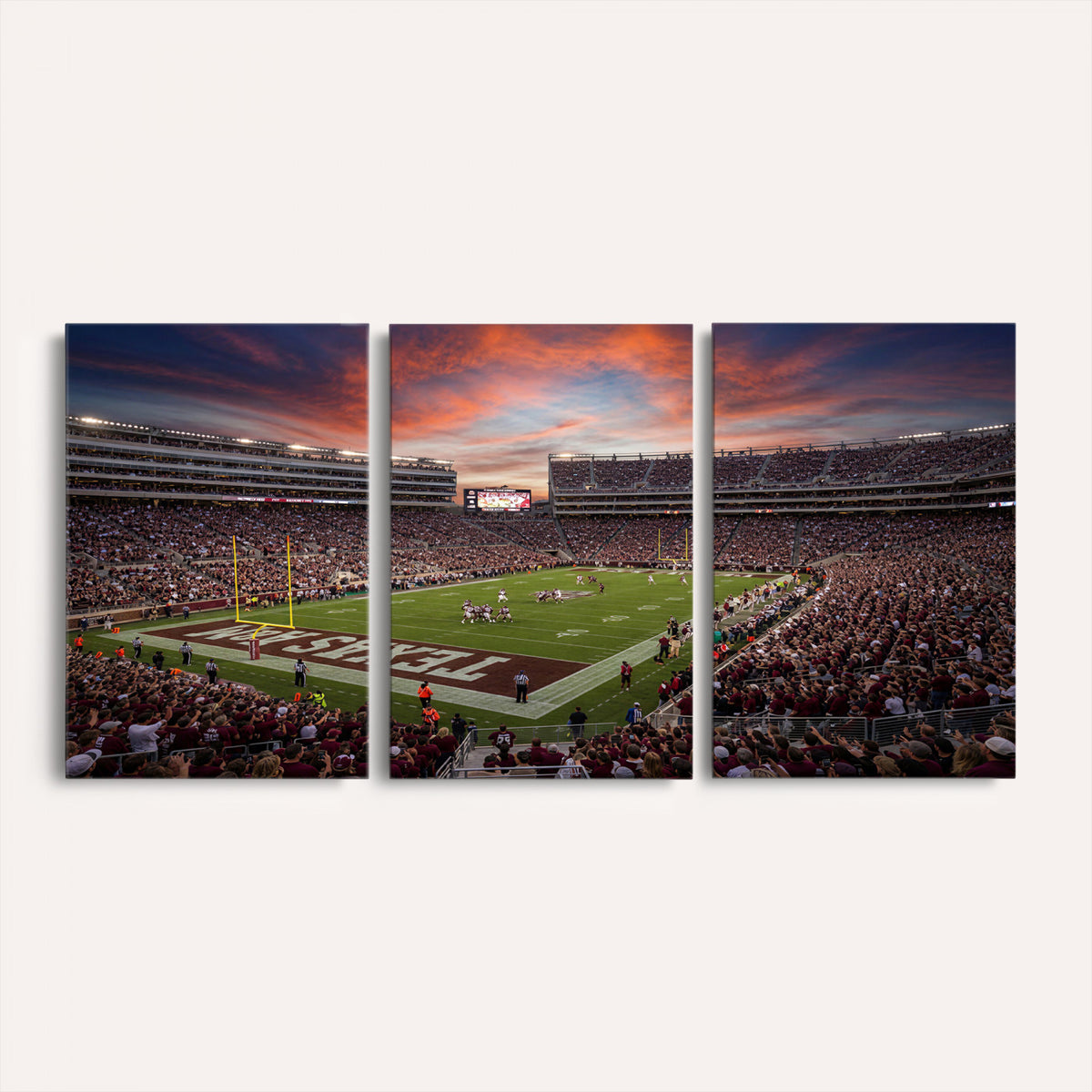 44328991-MGV-CV-36X24 - Stadium Wall Art Canvas Print