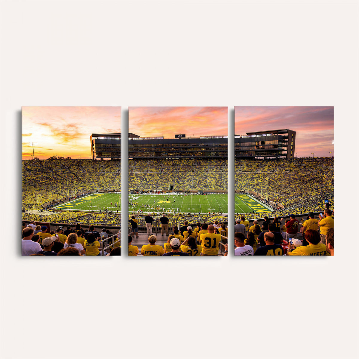 27265223-MGV-CV-36X24 - Stadium Wall Art Canvas Print