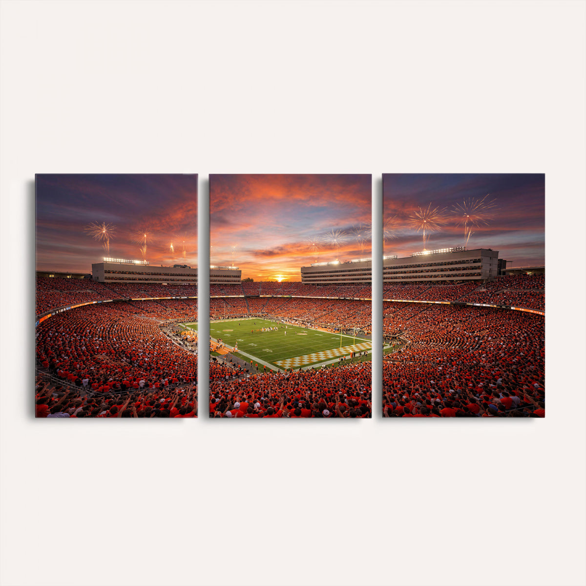 66964685-MGV-CV-36X24 - Stadium Wall Art Canvas Print