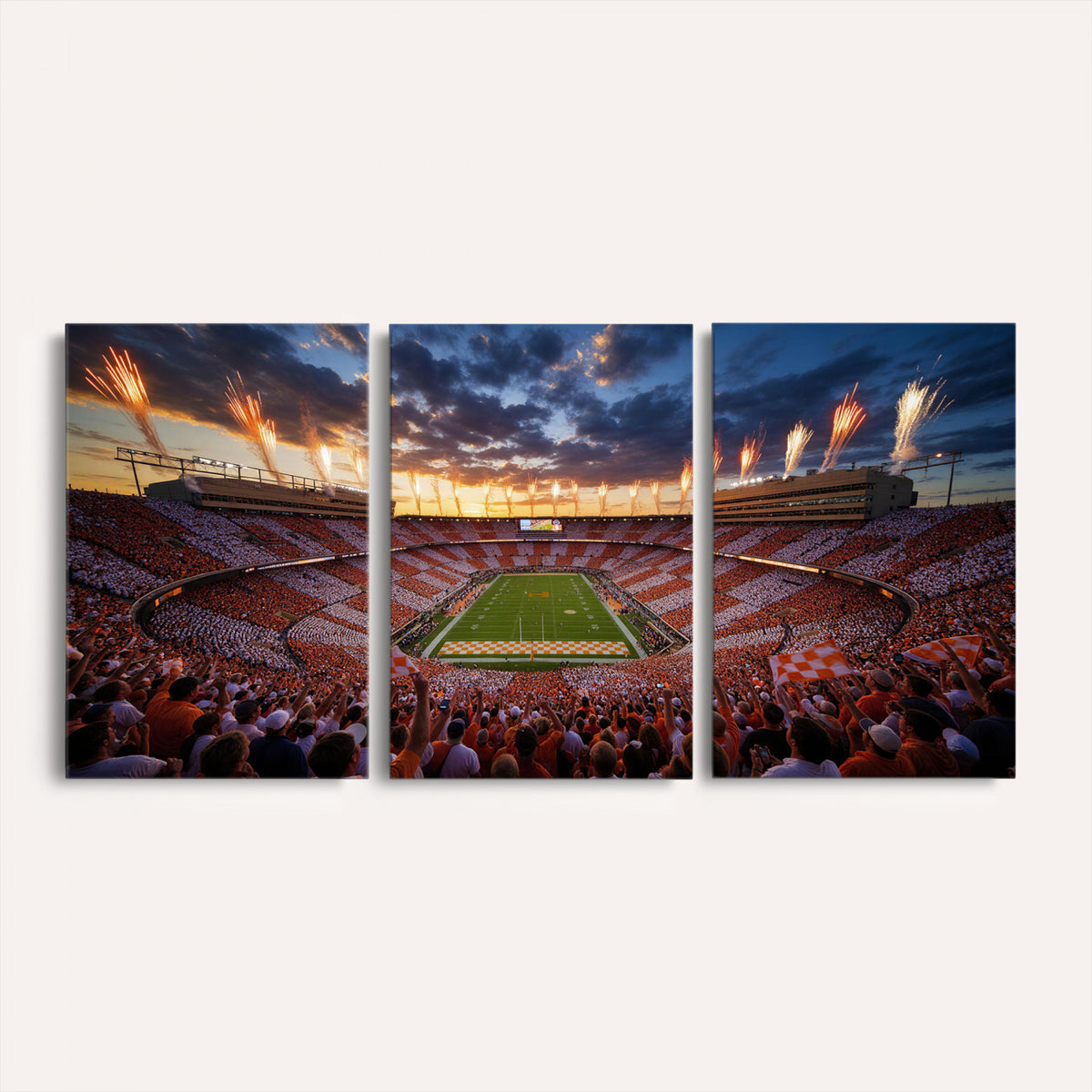 29672818-MGV-CV-36X24 - Stadium Wall Art Canvas Print