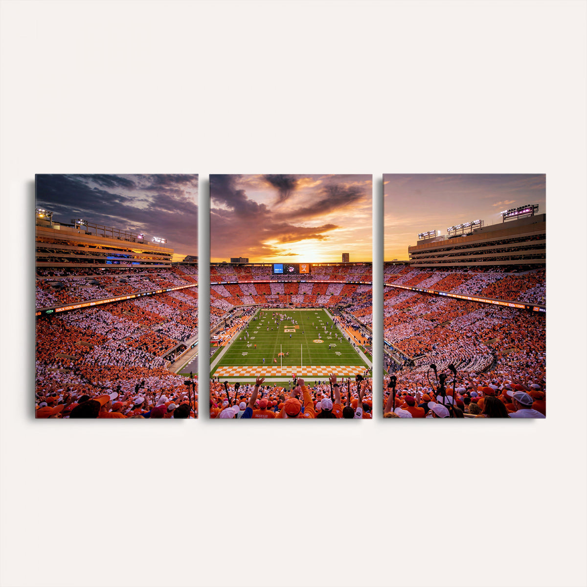 68184875-MGV-CV-36X24 - Stadium Wall Art Canvas Print