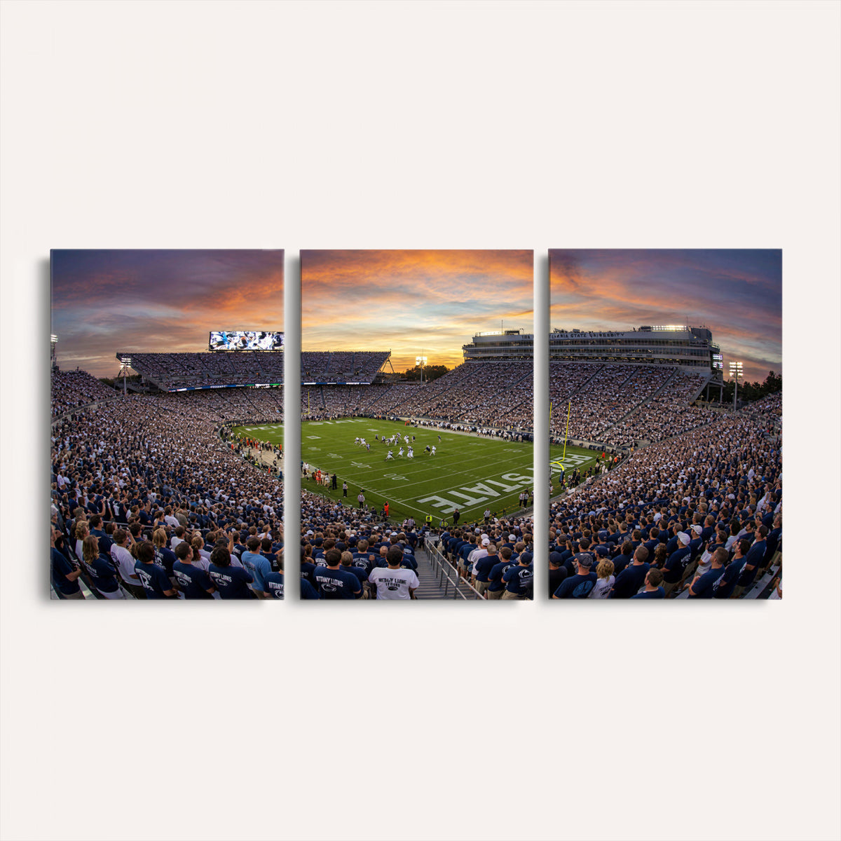 29008668-MGV-CV-36X24 - Stadium Wall Art Canvas Print