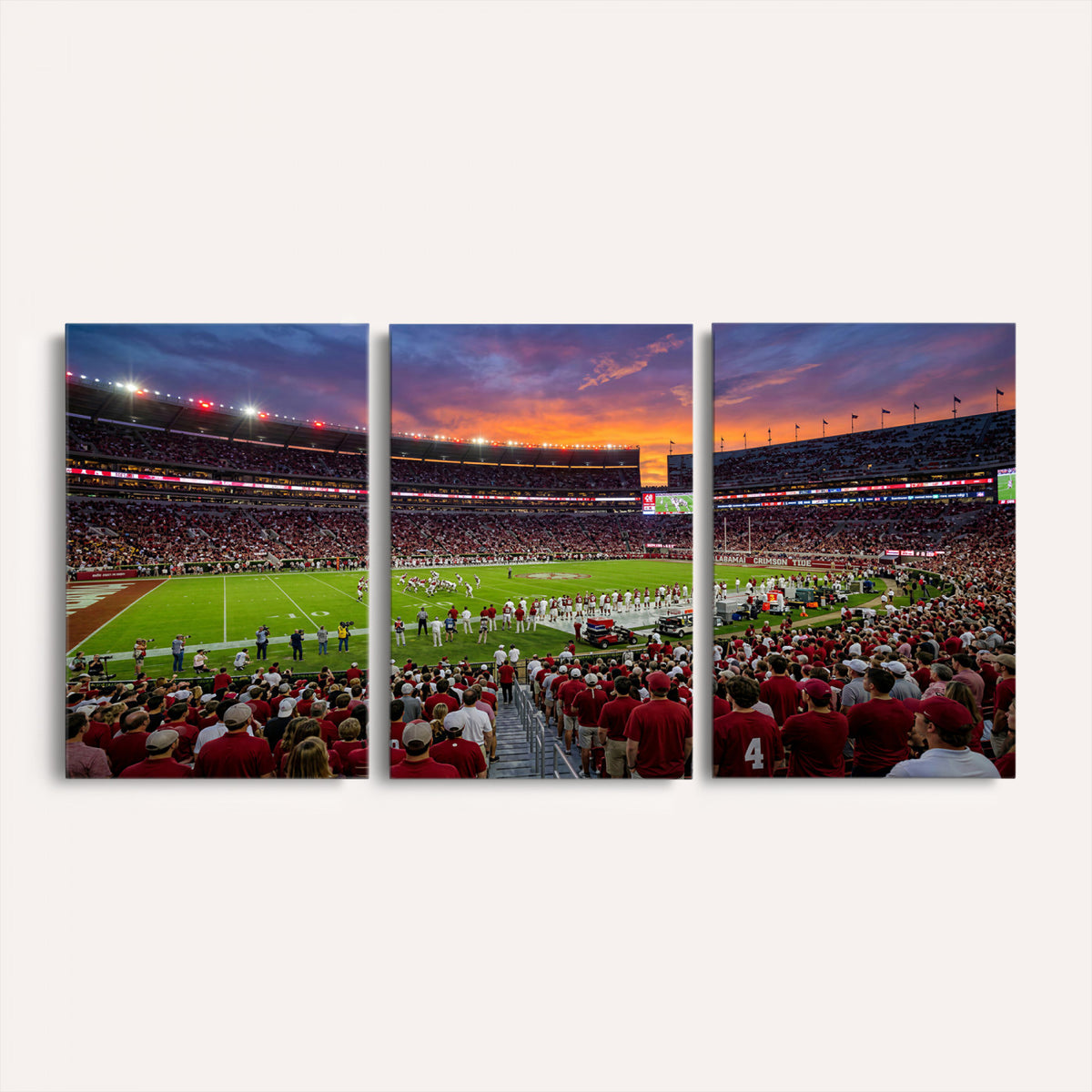 47822048-MGV-CV-36X24 - Stadium Wall Art Canvas Print