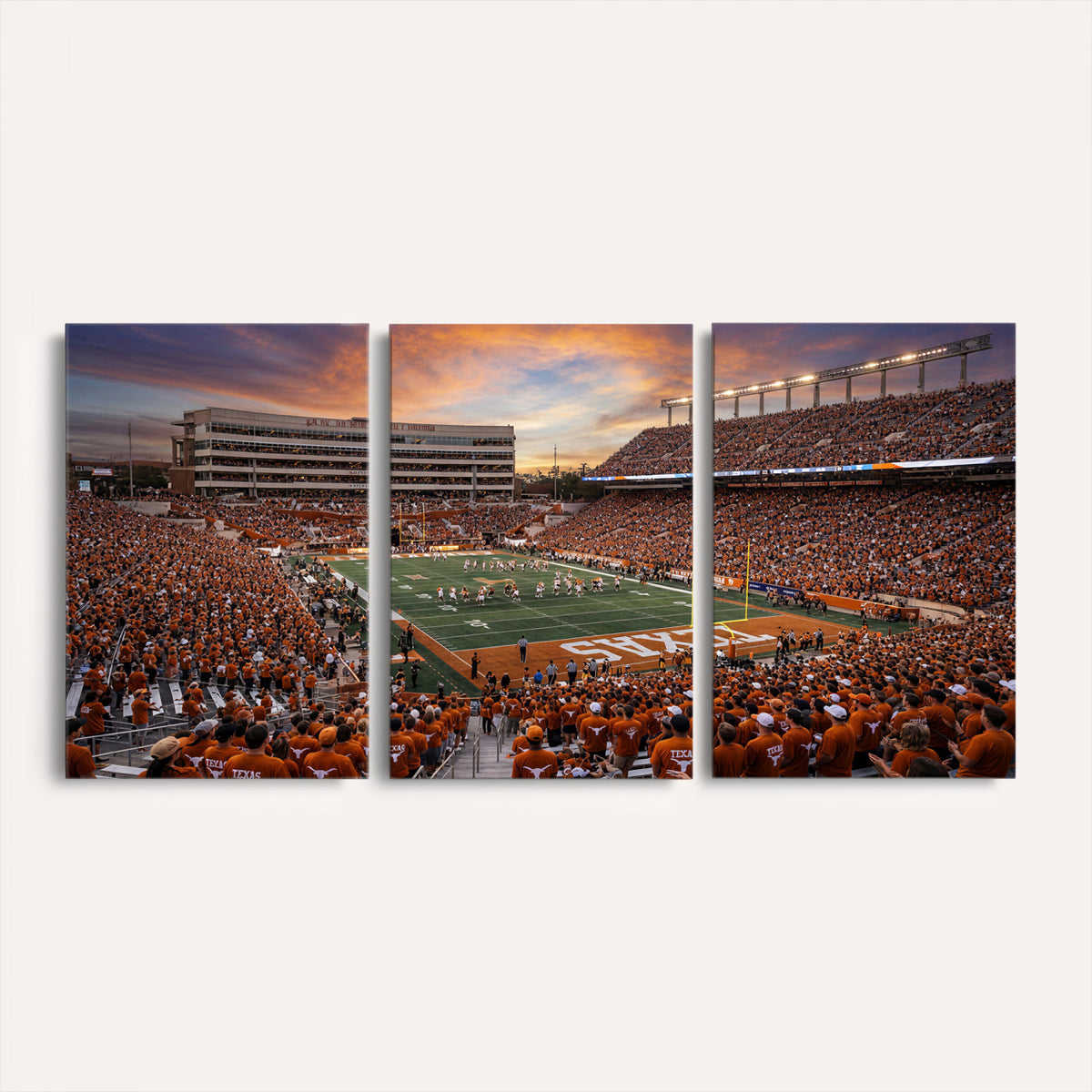 23560699-MGV-CV-36X24 - Stadium Wall Art Canvas Print