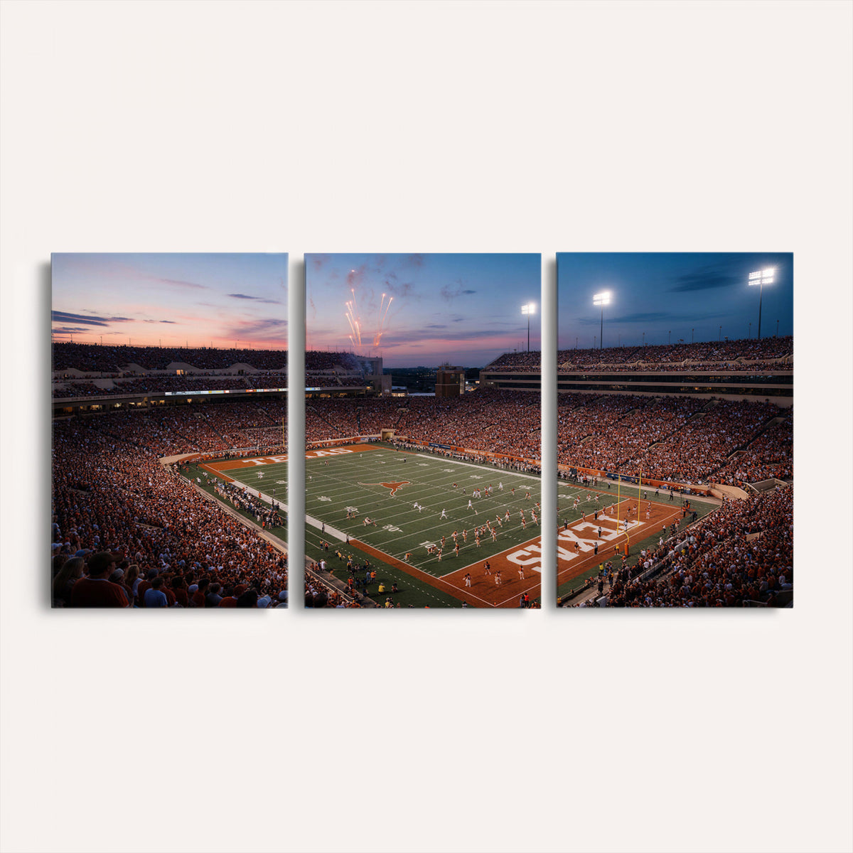 31666911-MGV-CV-36X24 - Stadium Wall Art Canvas Print