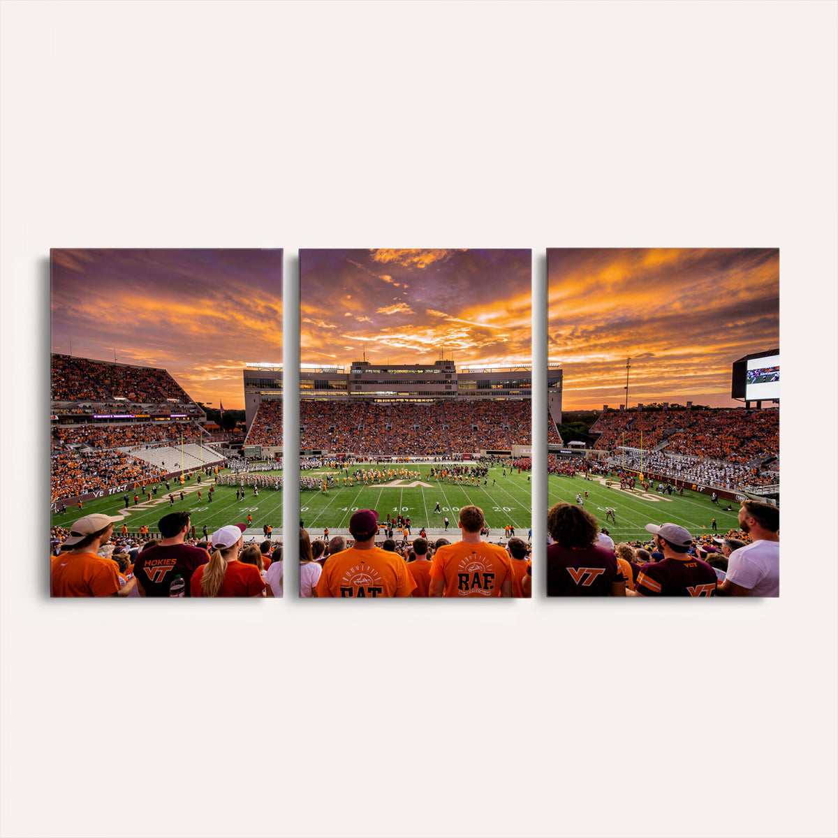 25873880-MGV-CV-36X24 - Stadium Wall Art Canvas Print