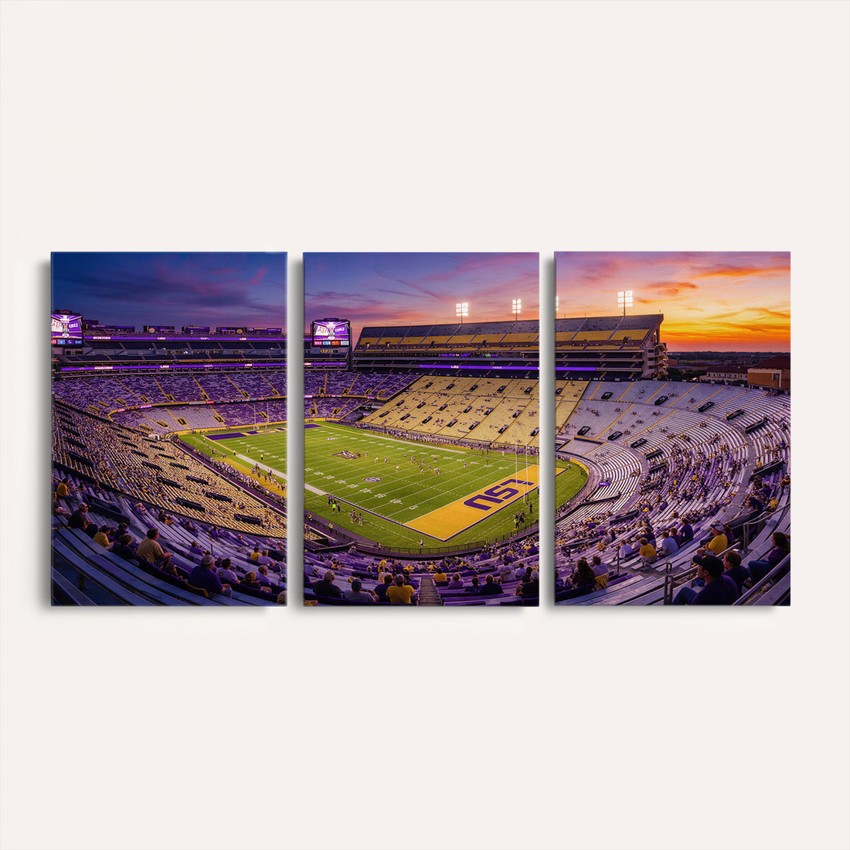 21378512-MGV-CV-36X24 - Stadium Wall Art Canvas Print