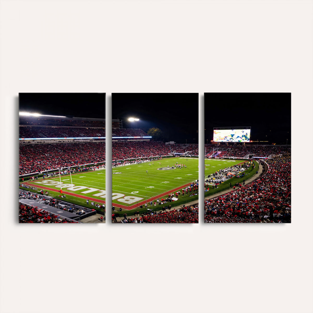 73520603-_Poster-30x20 - Georgia Bulldogs Sanford Stadium Canvas Print 3 Piece Framed Wall Art Extra Large Floating Frame Nature Poster Made in USA