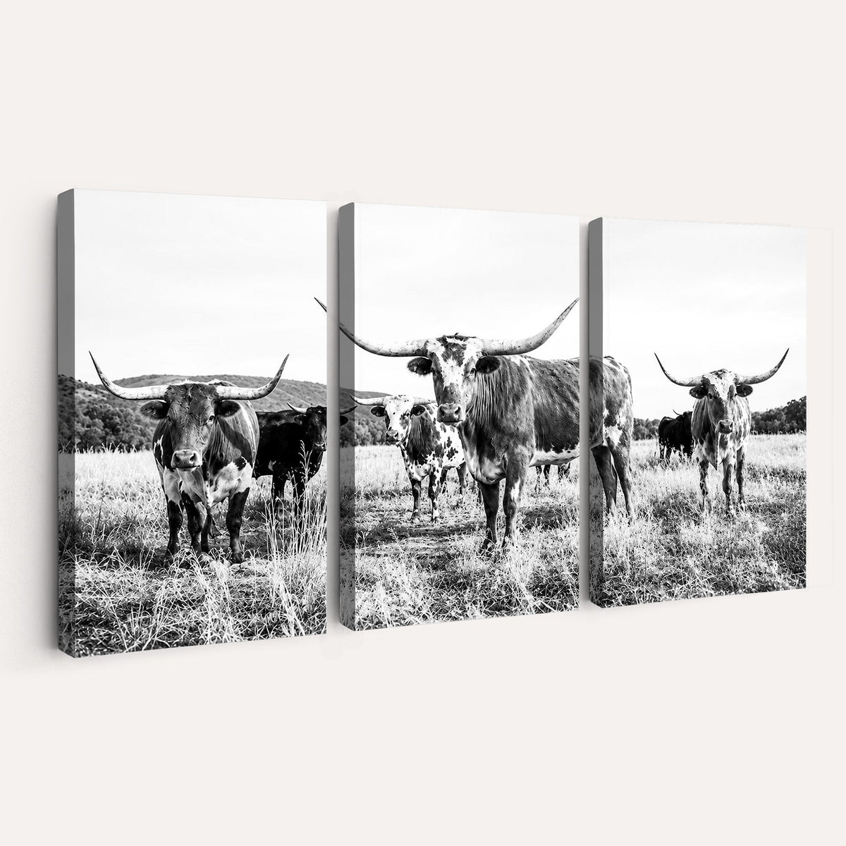 73228277-MGV-CV-48X32-3P - Black and White Longhorn Cattle Canvas Print, Western Ranch Wall Decor