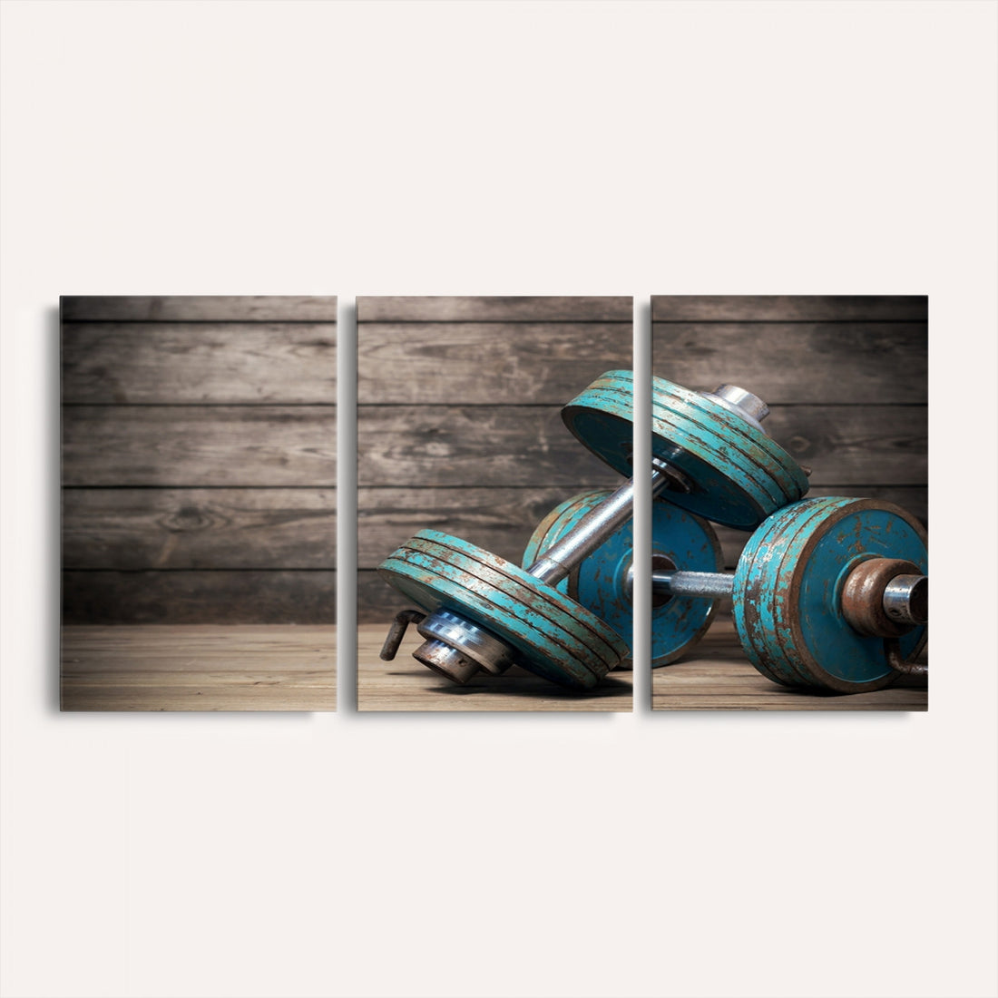 Dumbbell and Sport Wall Art Canvas Print