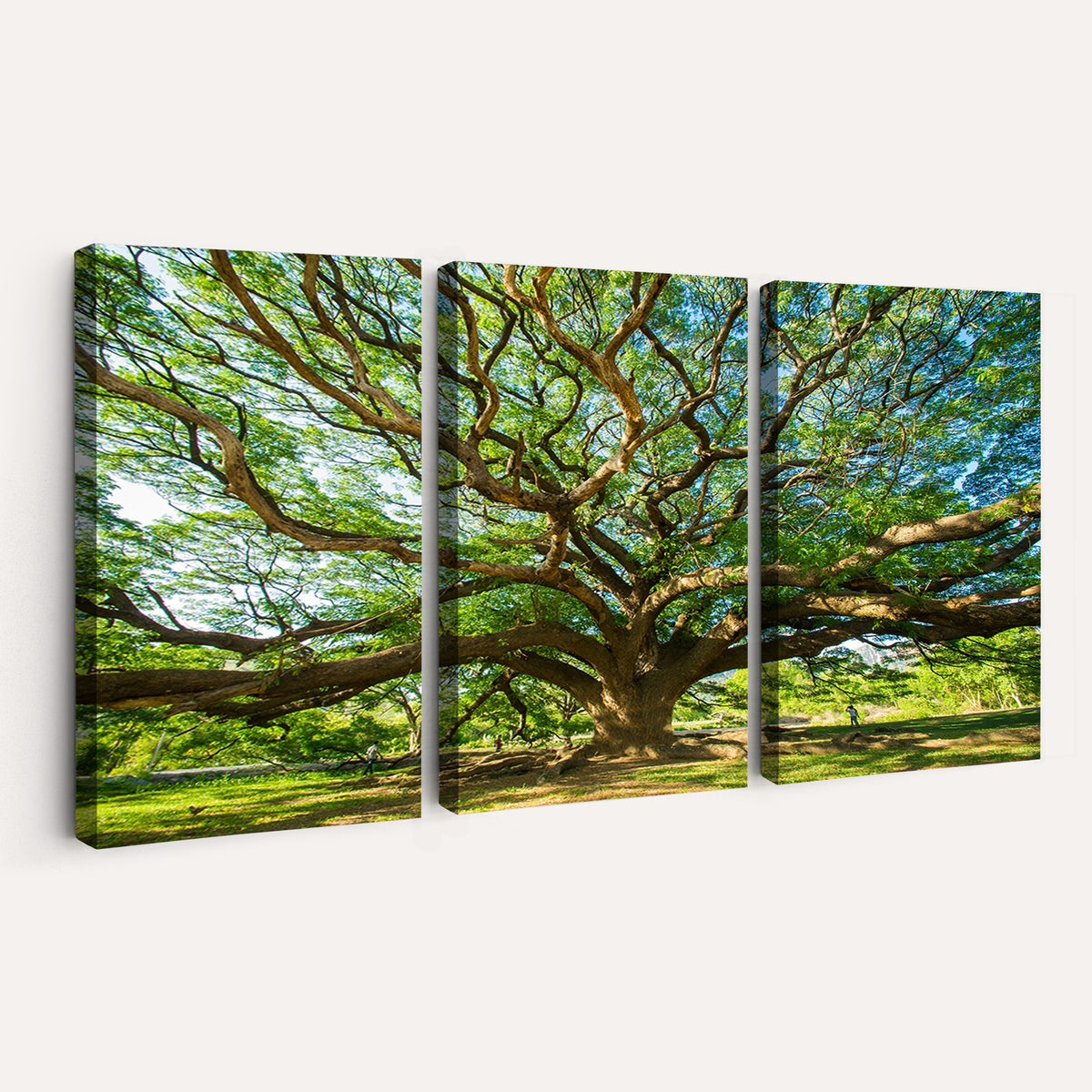 70569-MGV-CV-24X16 - Majestic Oak Tree Wall Art | Serene Nature Canvas Print with Spreading Branches