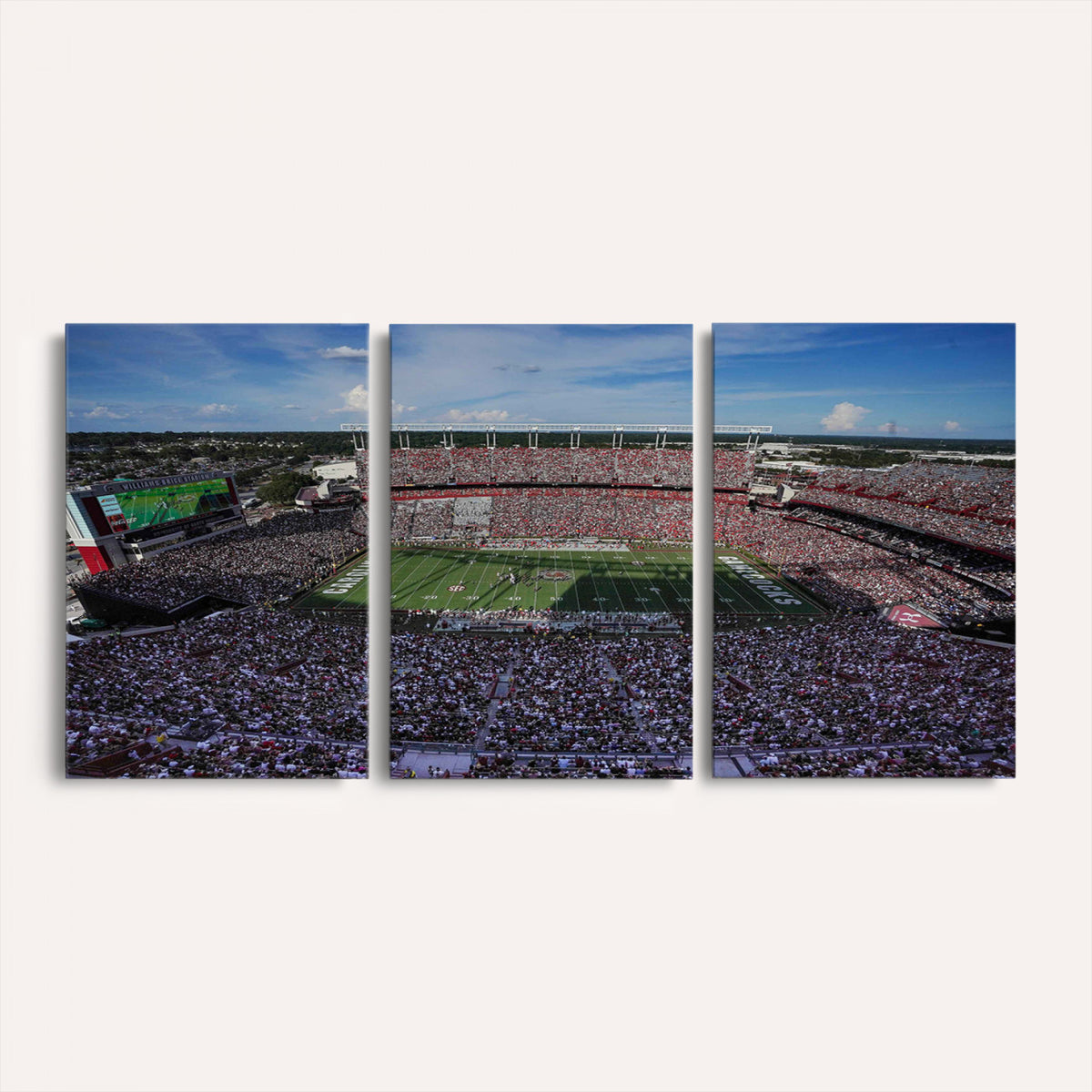 83382-MGV-CV-36X24 - South Carolina Gamecocks Football Team Print, Columbia Williams-Brice Stadium Wall Art