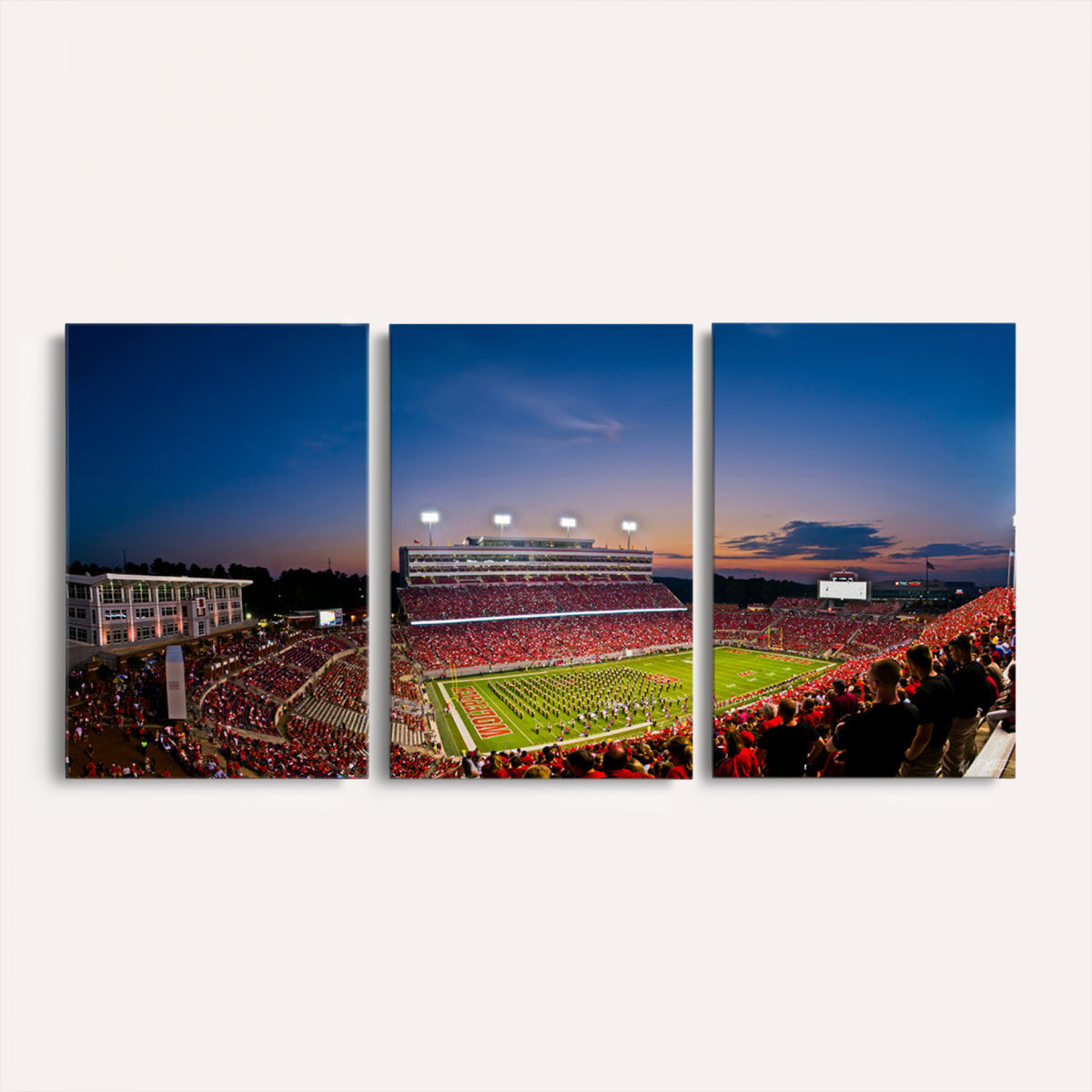33313-MGV-CV-36X24 - NC State Wolfpack Football Team Print - Raleigh Carter-Finley Stadium Wall Art Canvas Print