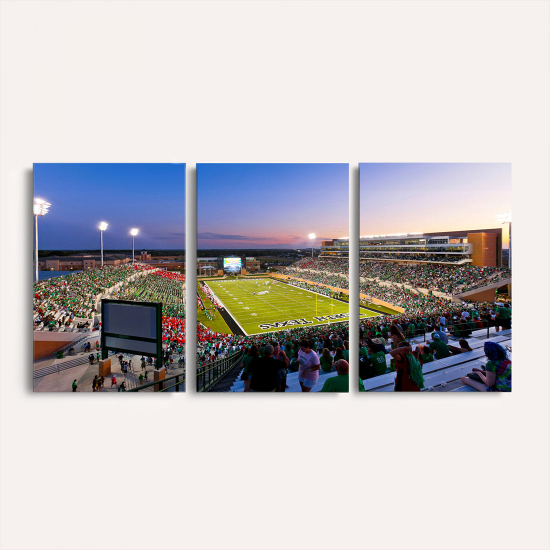 University of North Texas Mean Green Football Team Print