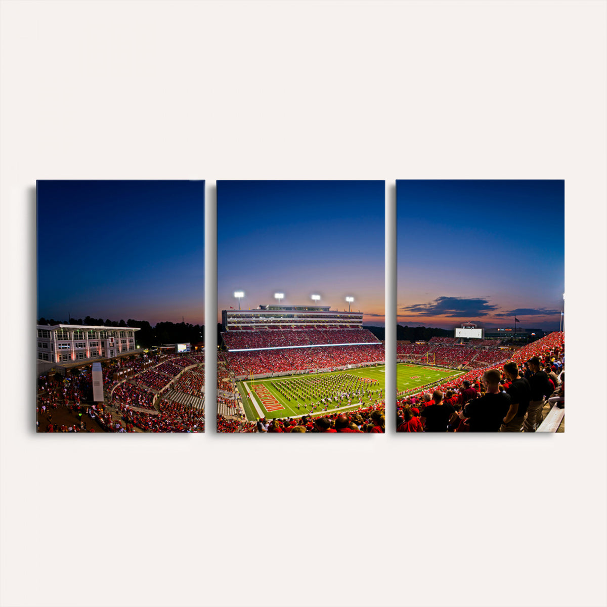 76202-MGV-CV-36X24 - Wolfpack Football Team Wall Art Print - Raleigh Carter-Finley Stadium Wall Art Canvas Print