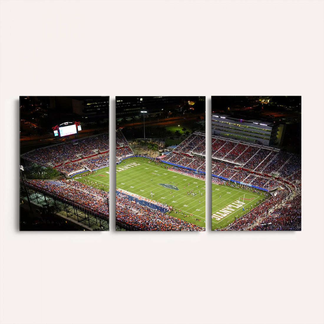 Florida Atlantic University Owls Canvas Print, Football Team Print