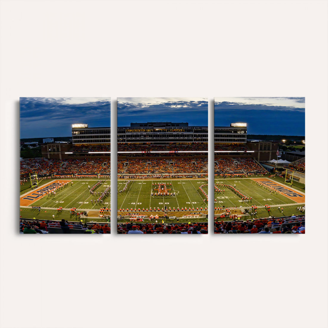 University of Illinois Fighting Illini Football Team Print