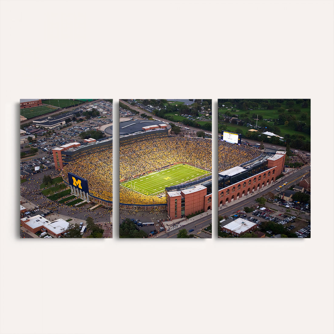 University of Michigan Wolverines Football Team Print, Ann Arbor