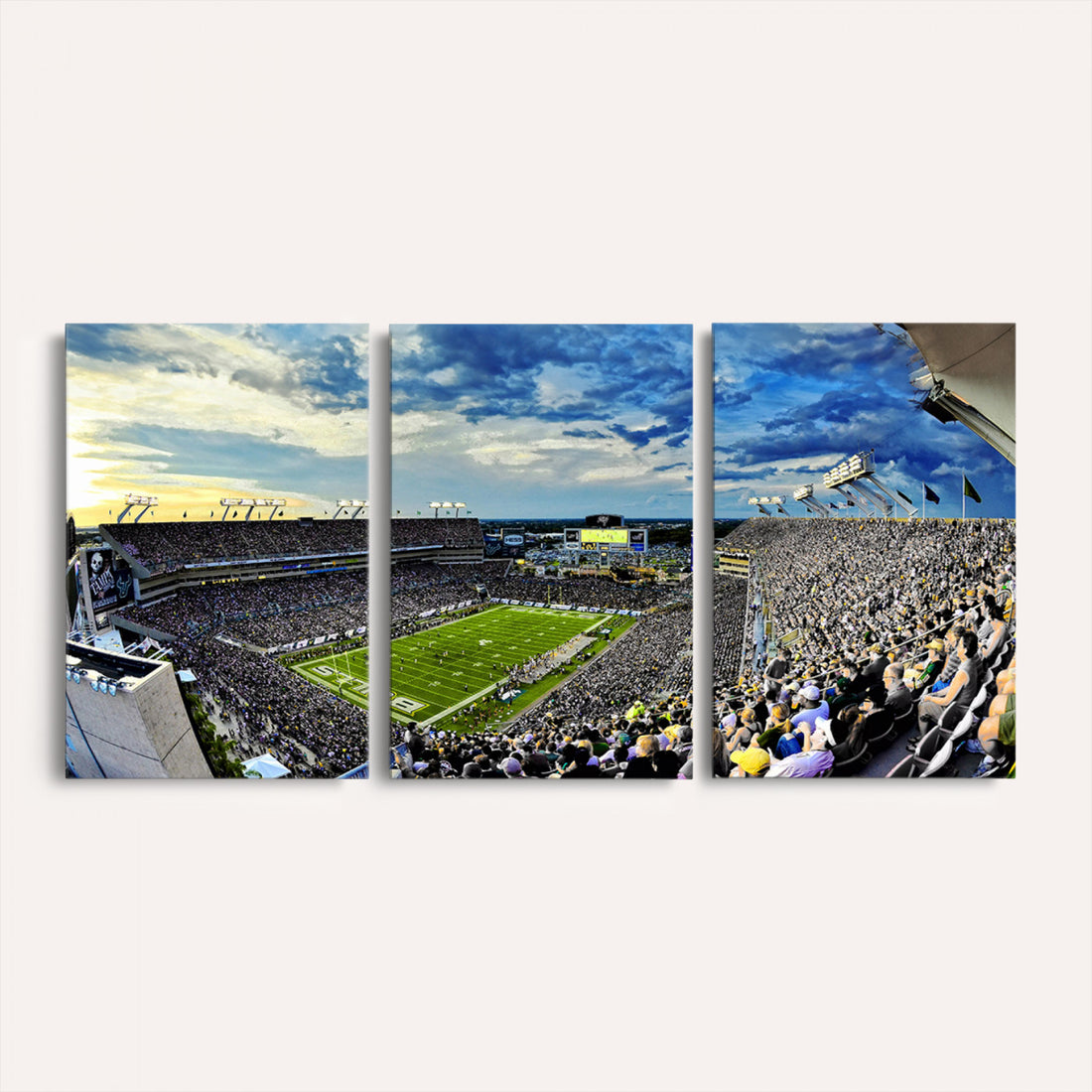 Framed USF Bulls Football Team Print, Tampa Raymond James Stadium