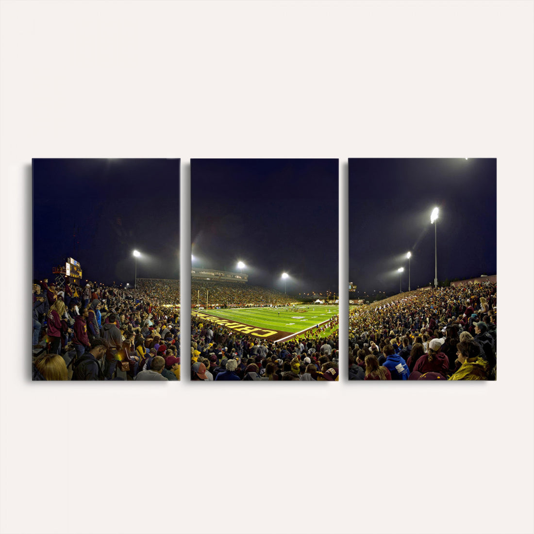 Central Michigan University Chippewas Canvas Wall Art