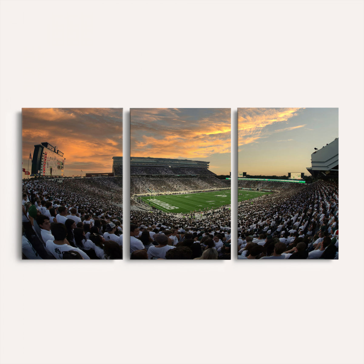 99155-PAN-FL-20X10 - Michigan State Spartans Football Team Print - East Lansing Spartan Stadium Wall Art Canvas Print