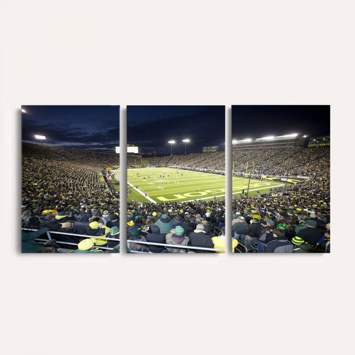 48756-PAN-FL-20X10 - University of Oregon Ducks Football Team Print - Eugene Autzen Stadium Wall Art Canvas Print