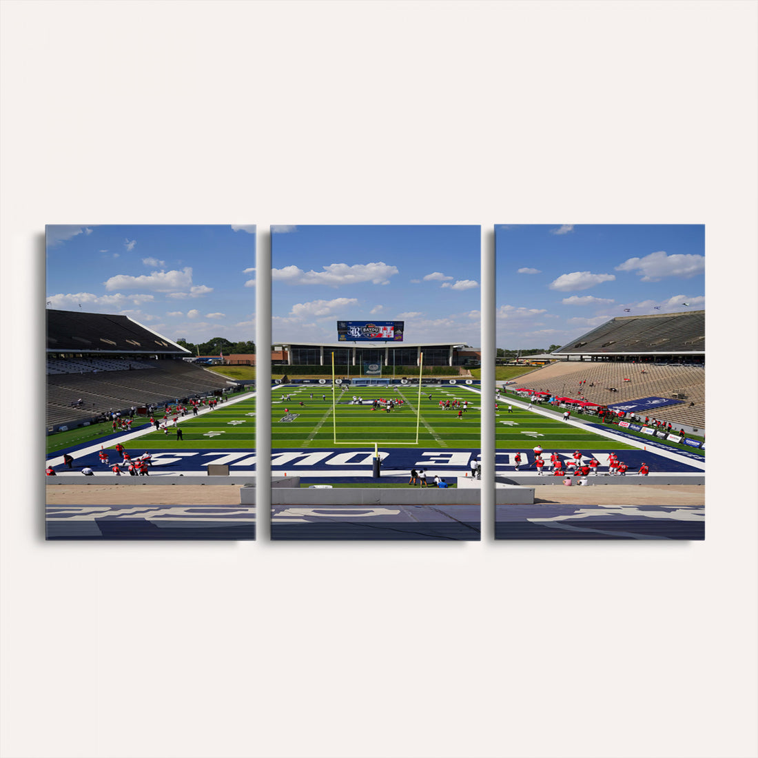 Rice University Owls Football Team Print, Houston Rice Stadium