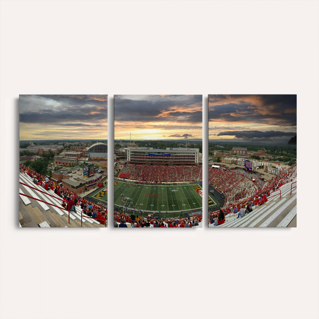 University of Maryland Terrapins Football Team Print