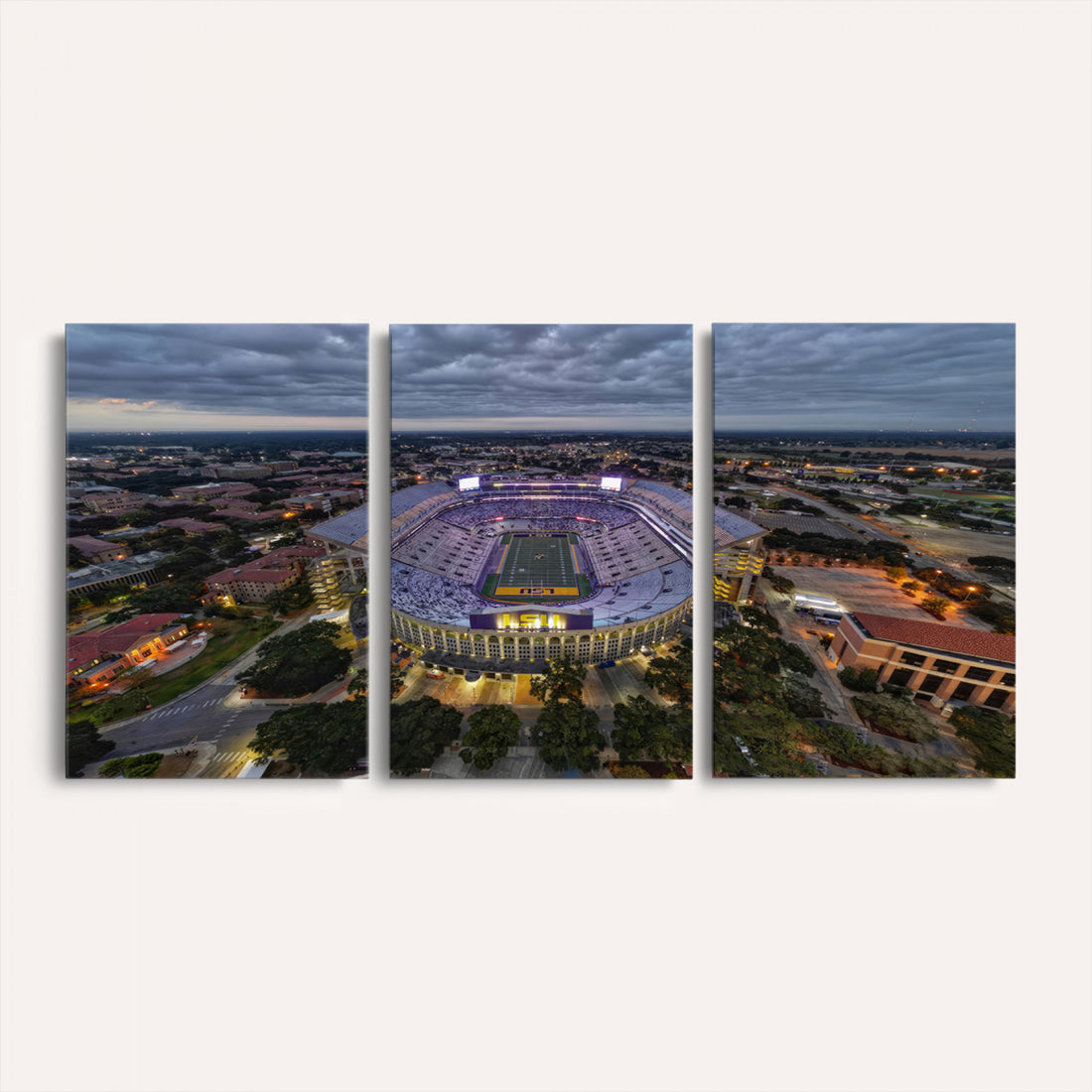The Louisiana State University Tigers Football Team Print