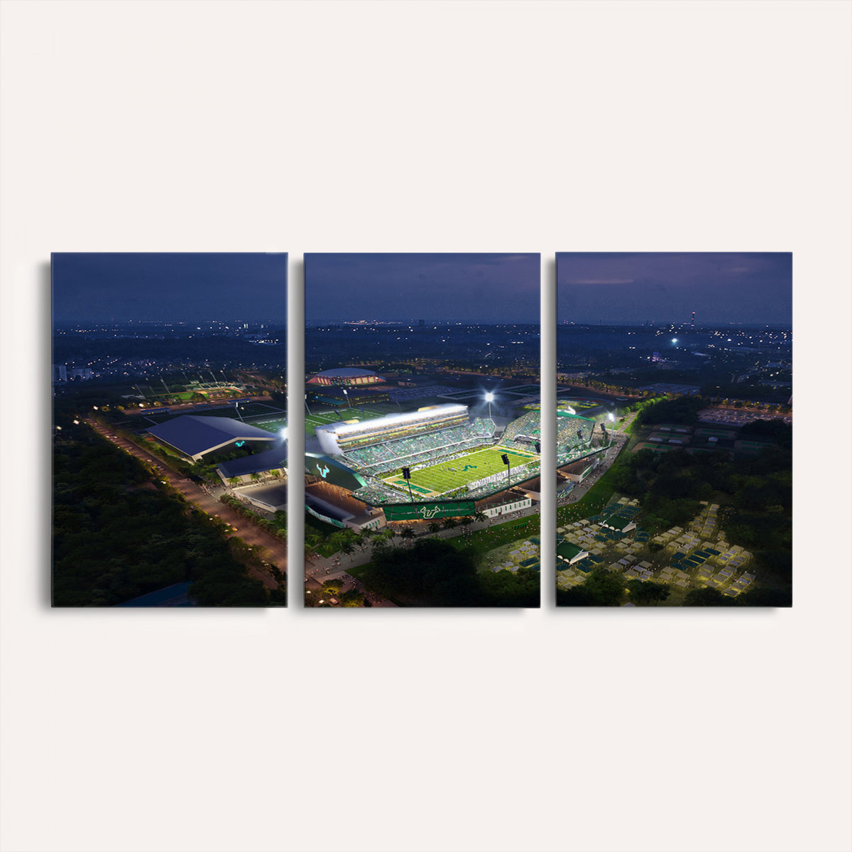 27554-MGV-CV-36X24 - The University of South Florida Bulls Football Team Print