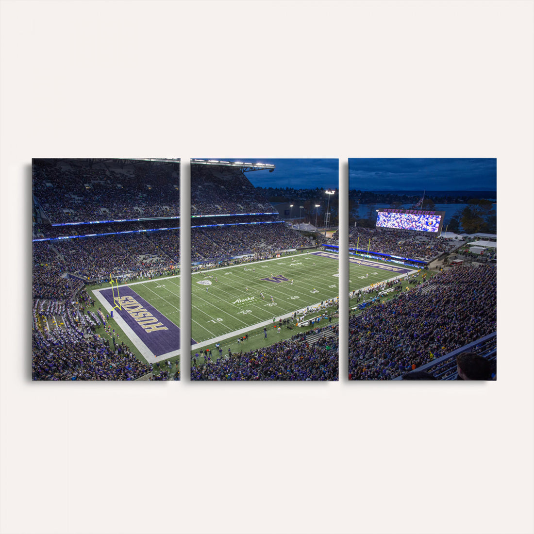 The University of Washington Huskies Football Team Print, Framed and Ready to Hang